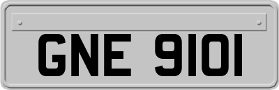 GNE9101