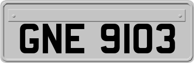GNE9103