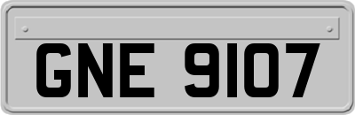 GNE9107