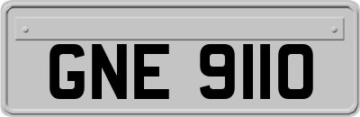 GNE9110