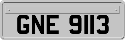 GNE9113