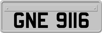 GNE9116