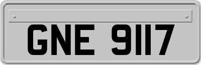 GNE9117