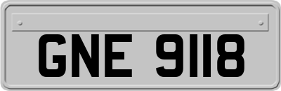 GNE9118