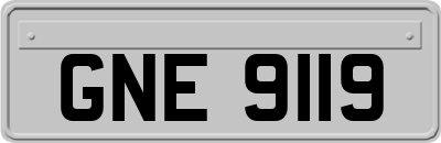 GNE9119