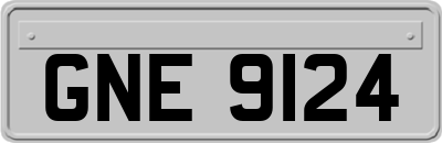GNE9124