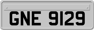 GNE9129