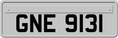 GNE9131