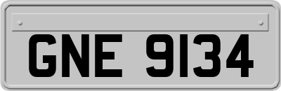 GNE9134