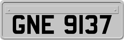 GNE9137