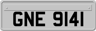 GNE9141