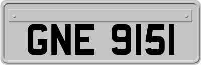 GNE9151
