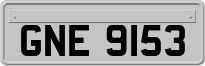 GNE9153
