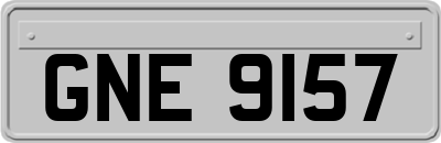 GNE9157