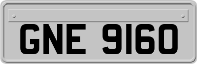 GNE9160