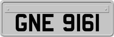 GNE9161