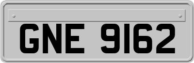 GNE9162