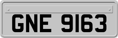 GNE9163
