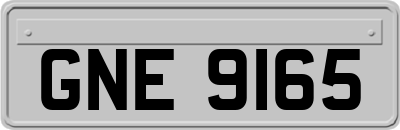 GNE9165