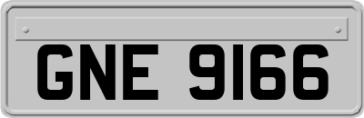 GNE9166