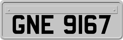 GNE9167
