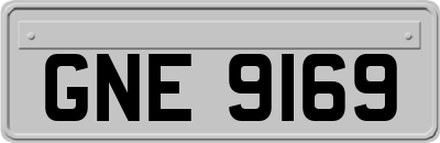 GNE9169