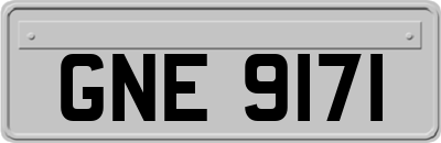 GNE9171