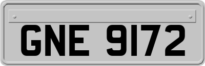 GNE9172