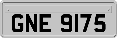 GNE9175