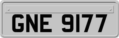 GNE9177