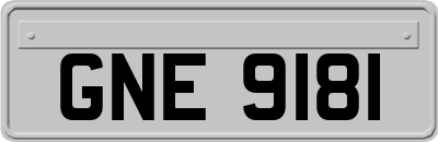 GNE9181