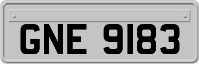 GNE9183