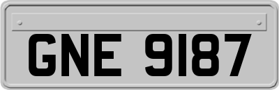 GNE9187