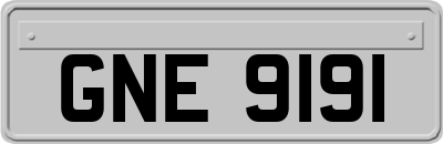 GNE9191