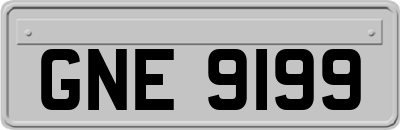 GNE9199