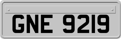GNE9219