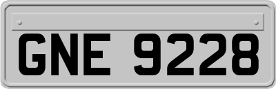 GNE9228