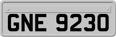 GNE9230
