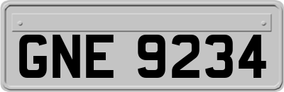GNE9234