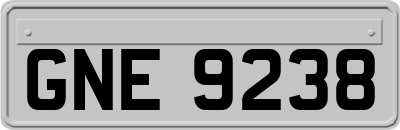 GNE9238