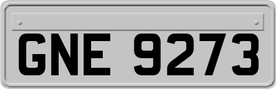 GNE9273