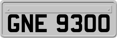 GNE9300