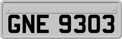 GNE9303