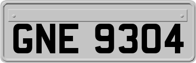 GNE9304