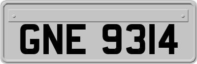 GNE9314
