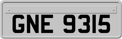 GNE9315