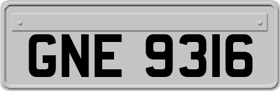 GNE9316