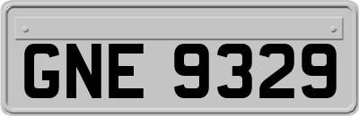 GNE9329
