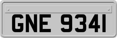 GNE9341