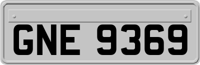 GNE9369